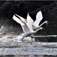 105位のイメージ