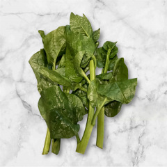 65位のイメージ