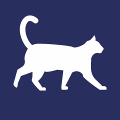 14位のイメージ