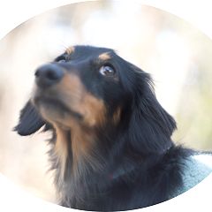 30位のイメージ