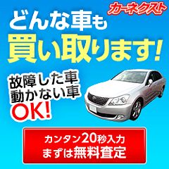 38位のイメージ