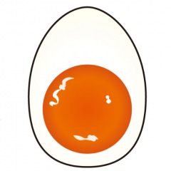 11位のイメージ