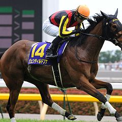 28位のイメージ