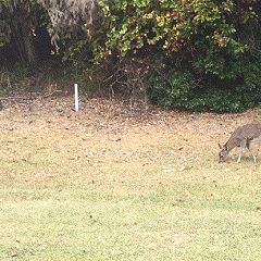 161位のイメージ