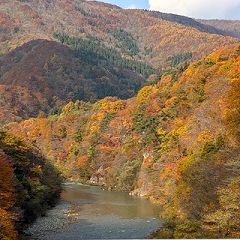 27位のイメージ