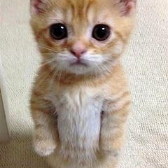 30位のイメージ