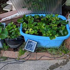 61位のイメージ