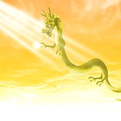 29位のイメージ