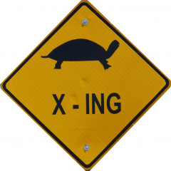 14位のイメージ