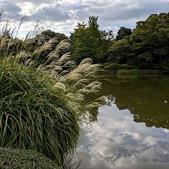 74位のイメージ