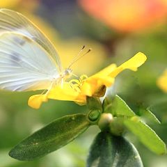 21位のイメージ