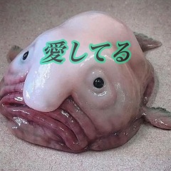 38位のイメージ