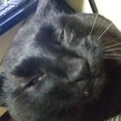 89位のイメージ