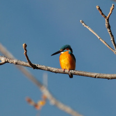 139位のイメージ