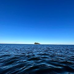 438位のイメージ