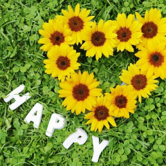 11位のイメージ