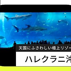 67位のイメージ