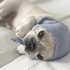 24位のイメージ