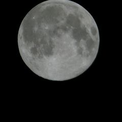 13位のイメージ