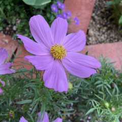 31位のイメージ