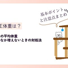 12位のイメージ