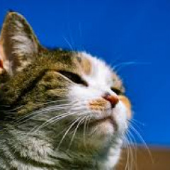 124位のイメージ