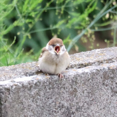 23位のイメージ