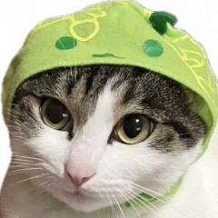 81位のイメージ