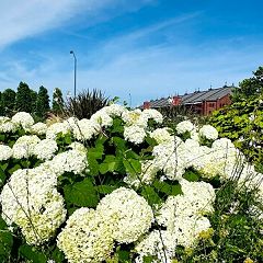 65位のイメージ