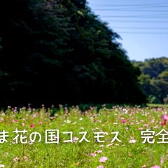 208位のイメージ