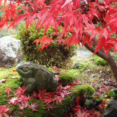 20位のイメージ