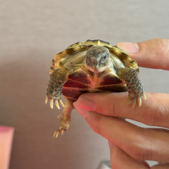 117位のイメージ