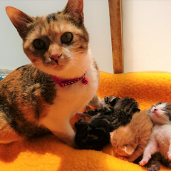 122位のイメージ