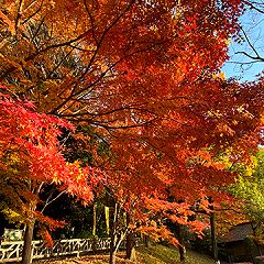 26位のイメージ