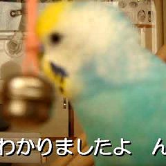 32位のイメージ