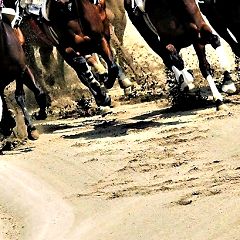 39位のイメージ