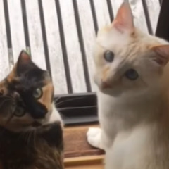 19位のイメージ