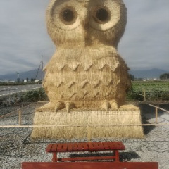 111位のイメージ