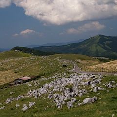 118位のイメージ