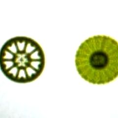 18位のイメージ