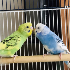 35位のイメージ