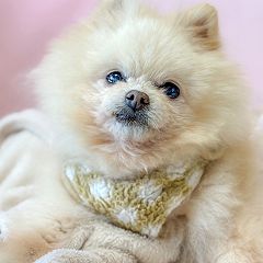 102位のイメージ