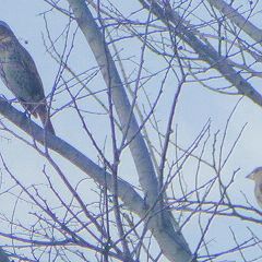 20位のイメージ