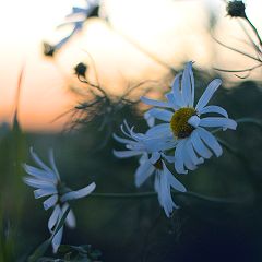 12位のイメージ