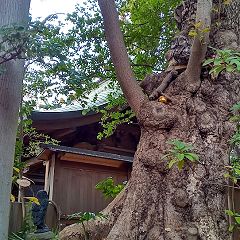 74位のイメージ