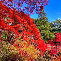 80位のイメージ