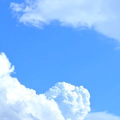 78位のイメージ