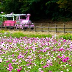27位のイメージ