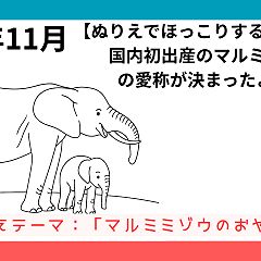 229位のイメージ