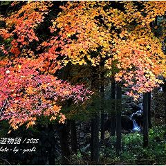 116位のイメージ